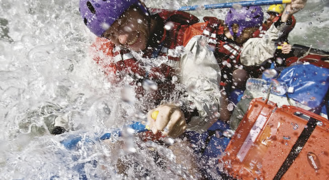 peli protector waterproof case