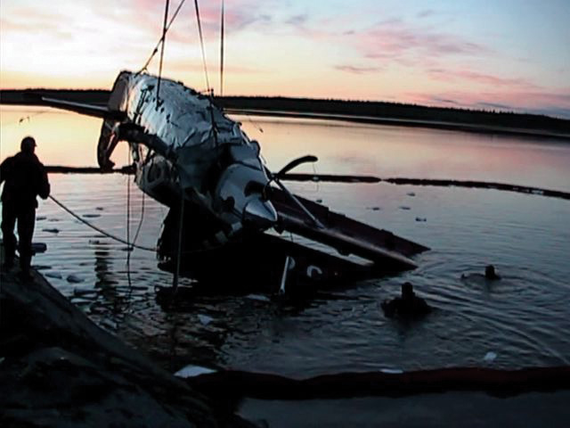pelican discover survival story daryl dolynny plane crash
