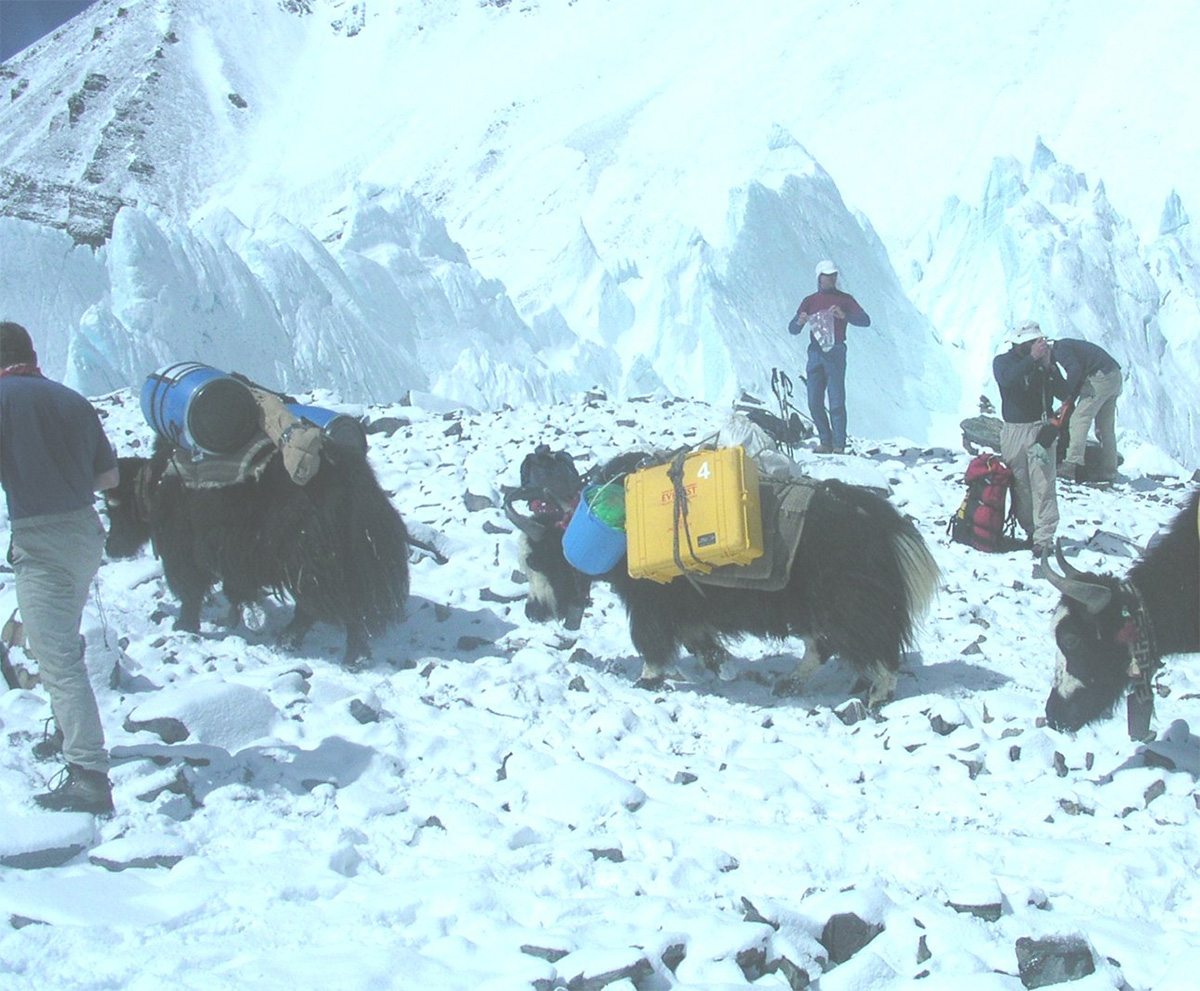 pelican discover survival story mike harding bbc everest cases