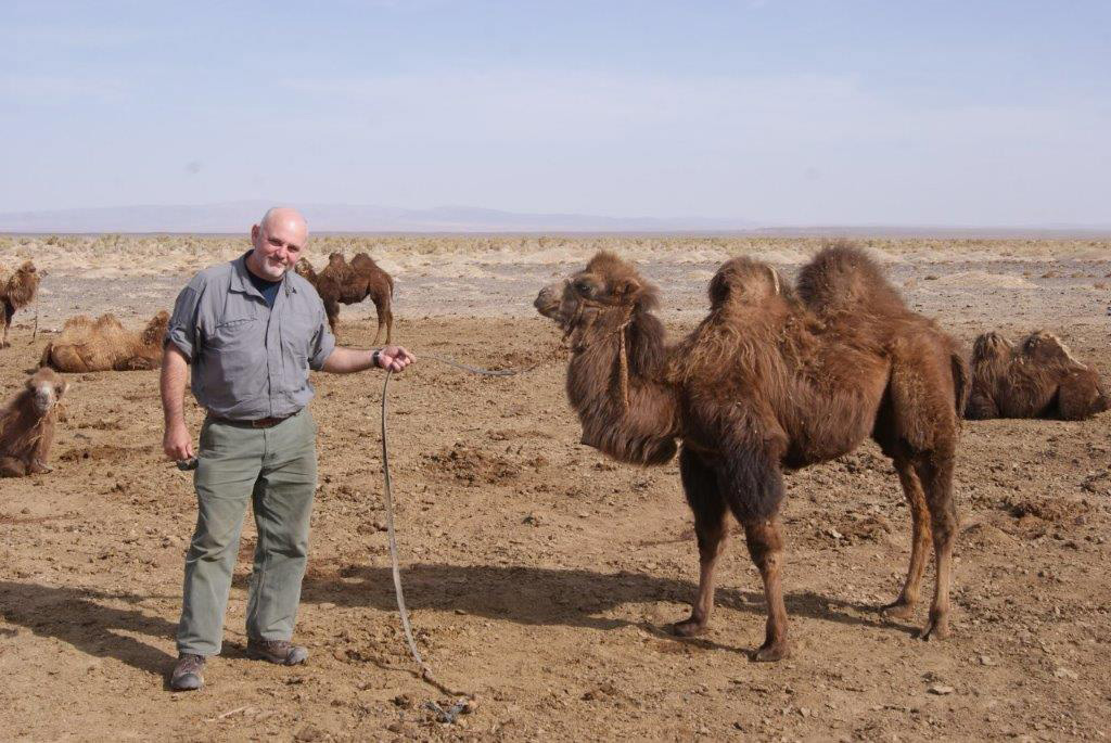pelican discover survival story randy toelle gobi desert camel