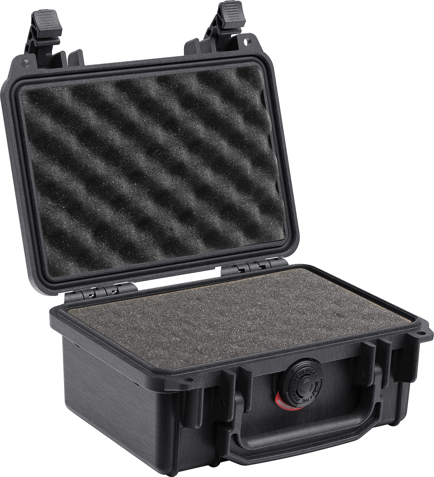 pelican 1150 watertight protective gopro case