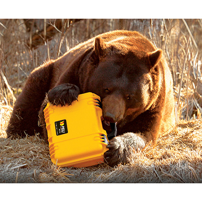 pelican im2100 storm rugged outdoor case