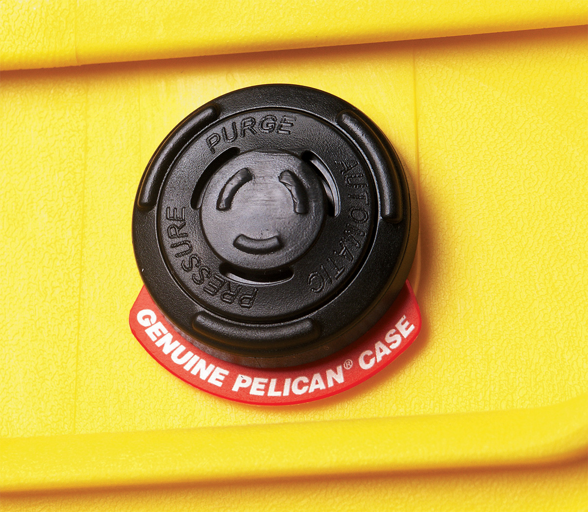 1560 Protector Case Pelican